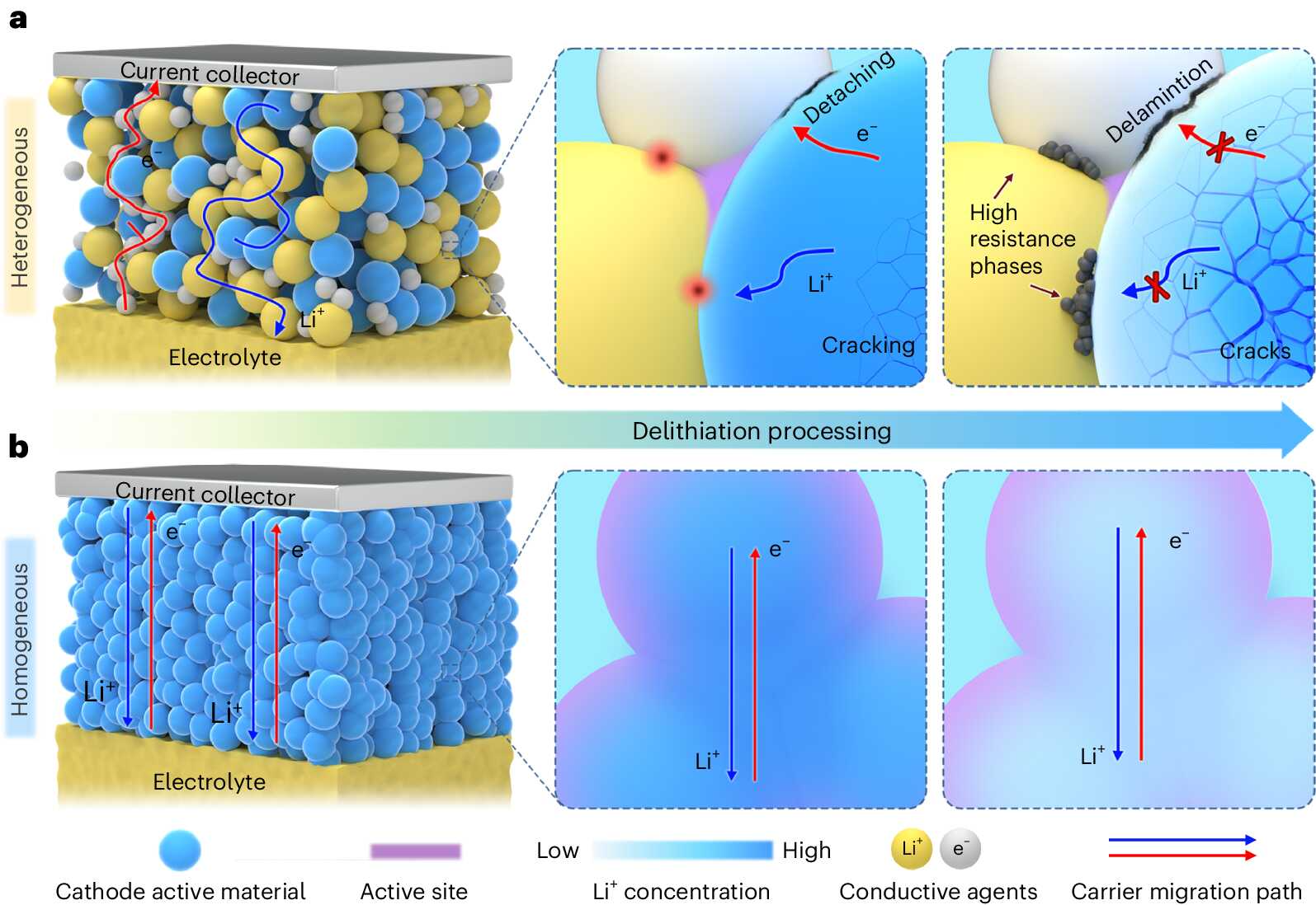 Schematic illustration of cathode microstructure evolution during charging. (a) Conventional heterogeneous composite cathode and (b) the proposed homogeneous cathode with efficient mixed conduction.