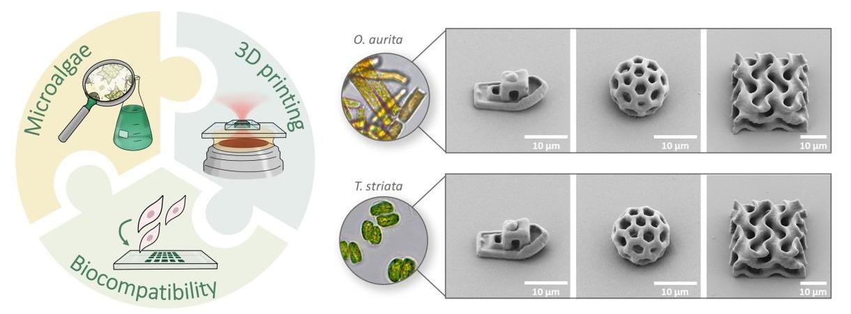 A New Generation of Biocompatible Materials for Additive Manufacturing