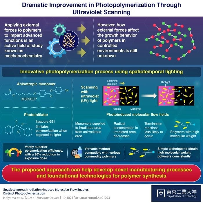 Understanding Polymer Behavior Under External Forces