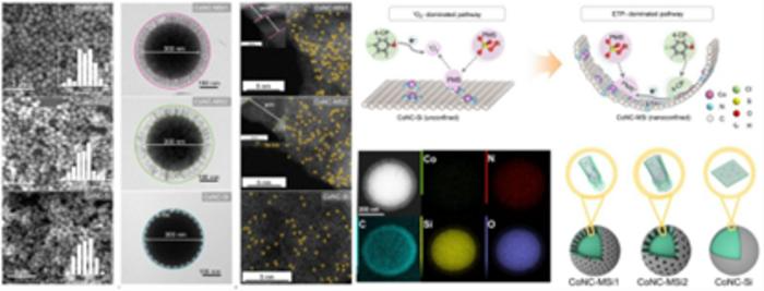 Single-Atom Catalysis Helps Control Water Pollution