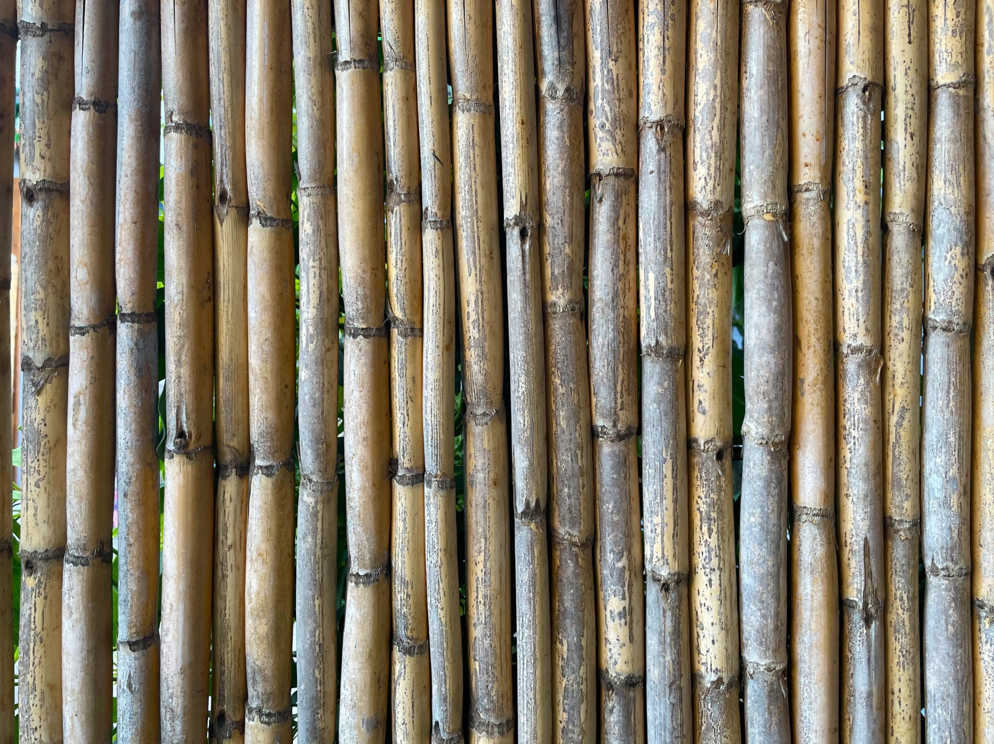 Innovative Cross-Sections for Bamboo-based Structural Columns