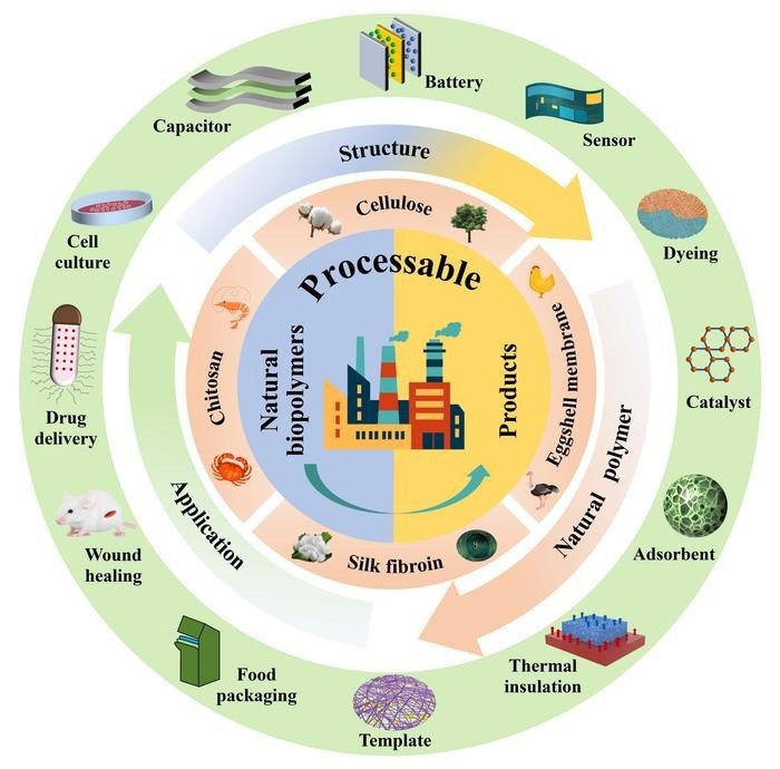 Exploring the Applications of Biopolymers