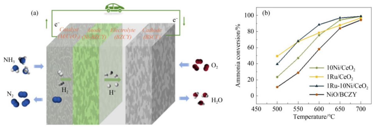 Enhancing the Electrochemical Performance of Direct Ammonia Fuel Cells
