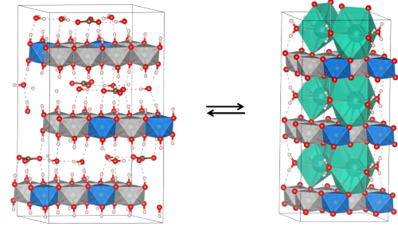 Nickel-Based Catalysts Drive Efficient Hydrogen Production in Alkaline Membrane Electrolyzers