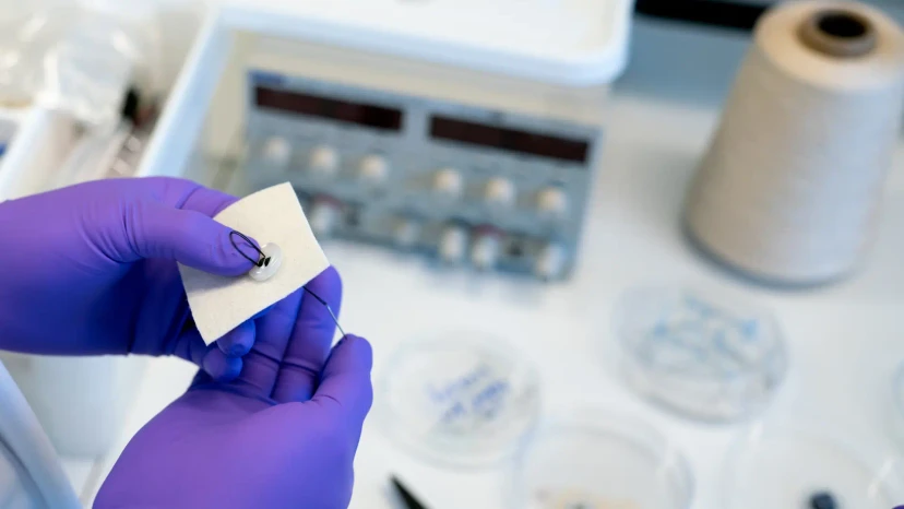 Sustainable Energy: Silk Threads as Power Sources