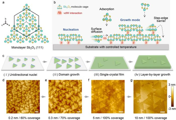Single-Crystal Molecular Films for Scalable Devices