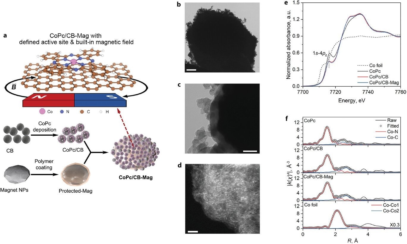 Integration of magnetic nanoparticles with molecular catalysts: Schematic illustration showing the CoPc/CB-Mag catalyst with polymer-protected magnetic nanoparticles, enabling spin state manipulation of cobalt centers. Image Credit: ©Hao Li et al.