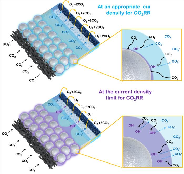 A Bio-Inspired Catalyst for Efficient Chemical Reactions