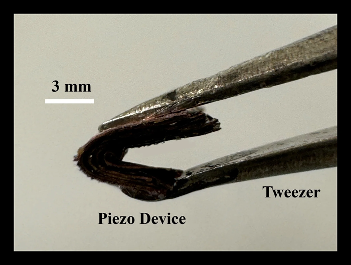 The image shows a piezoelectric device held by tweezers. The device is small, flexible, and bent while being gripped. A scale marker indicates its size as 3 mm.