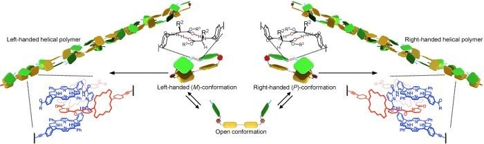 Understanding the Mechanism of Self-Assembly in Polymers