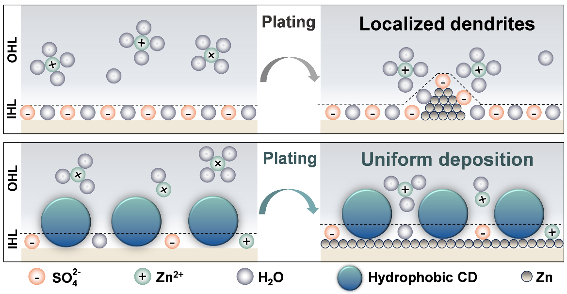Boosting Zinc-Ion Batteries with Carbon Dots