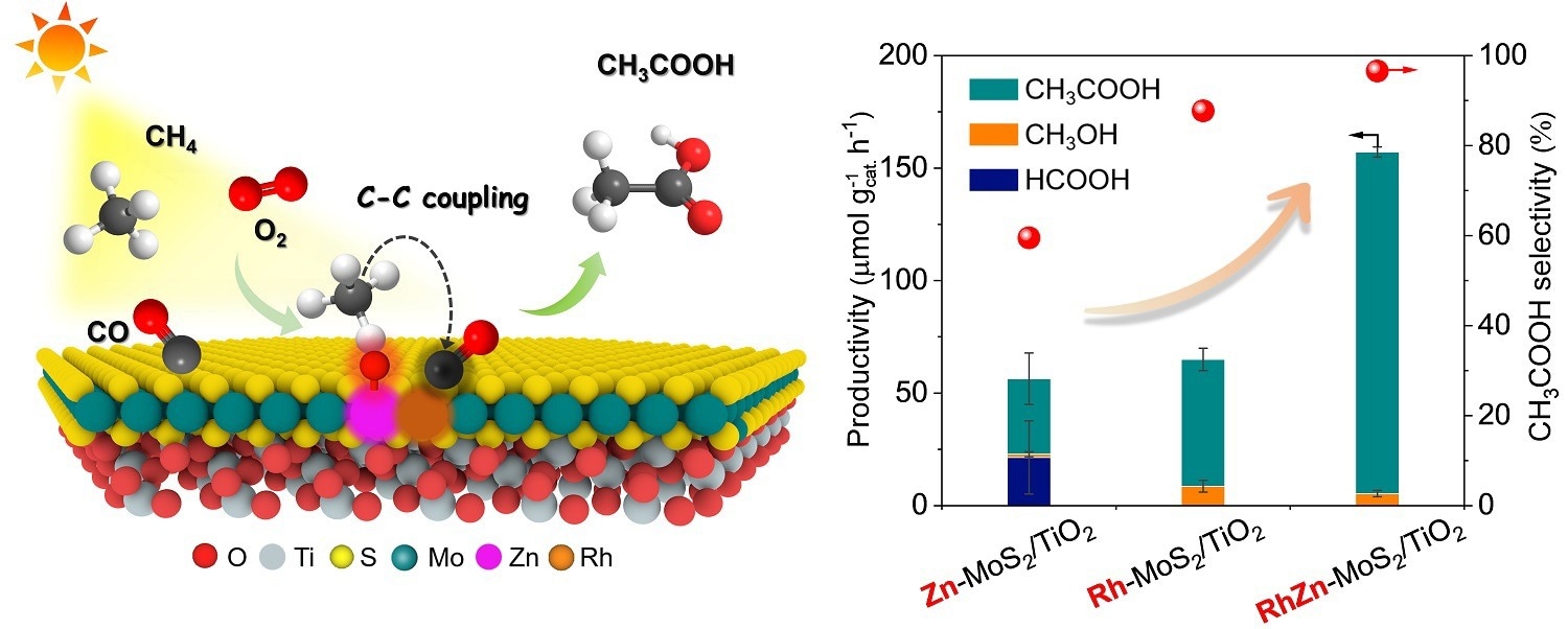 Schematic illustration of the photo-driven CH4 carbonylation with CO and O2 to CH3COOH