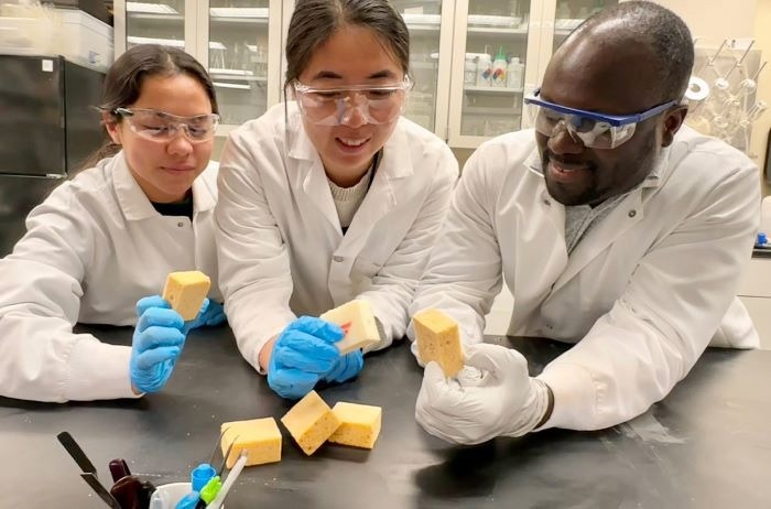 Ziqi Yu (Postdoc), Isaac Nartey Oduro (PhD student) and Daniela Gonzalez- Sepulveda (undergraduate RA) are examining lignin-based polyurethane samples.