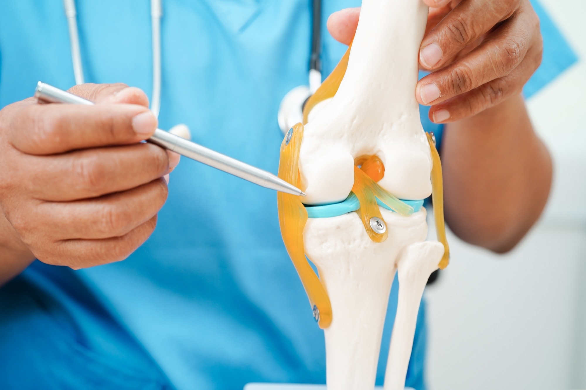 Doctor showing model knee joint orthopedic.