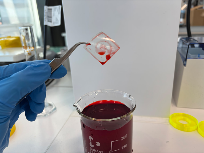 Zwitterion Coatings Prevent Blood Clots on Medical Implants