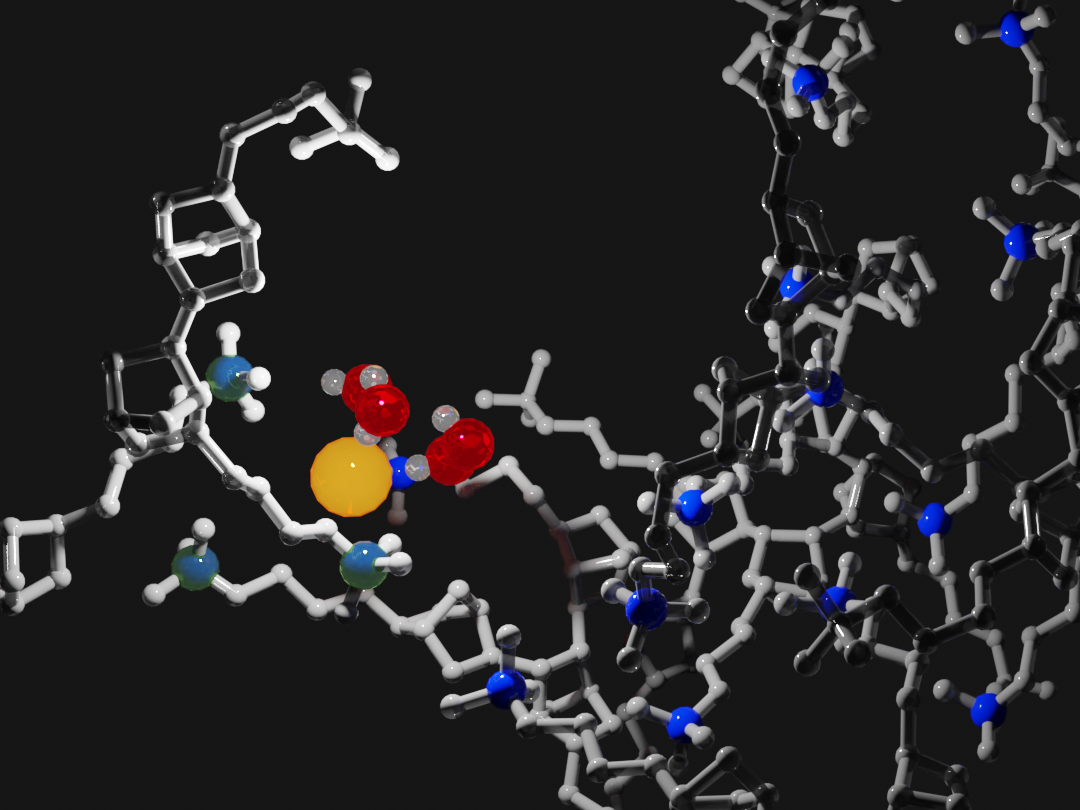 Combining simulations and experimental data let PME researchers build a picture of how negatively charged anions (yellow) and positively charged cations (blue) interact with water molecules (red and white) and the polymer backbone of anion exchange membranes (gray).