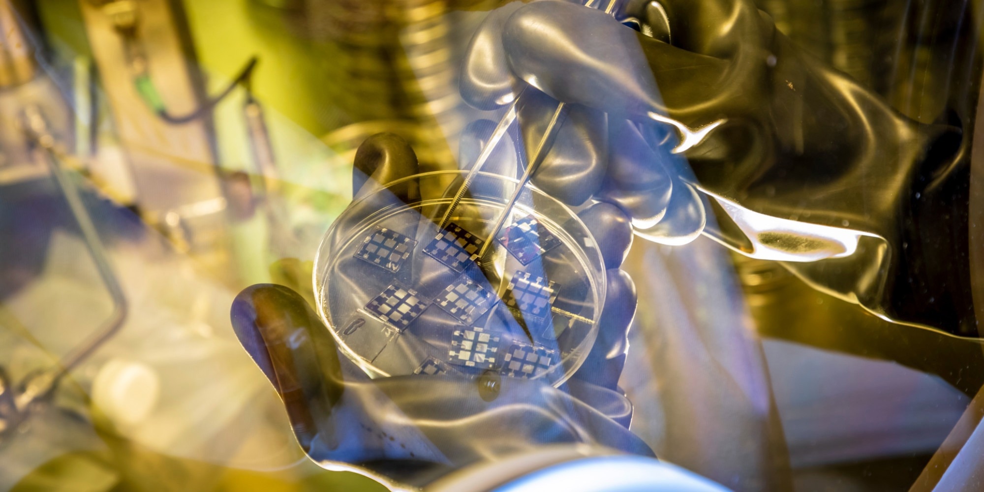 Organic solar cells.