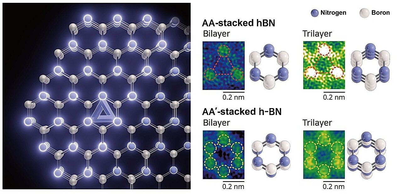 Scanning transmission electron microscopy (STEM) images and schematic illustrations of conventionally studied AA