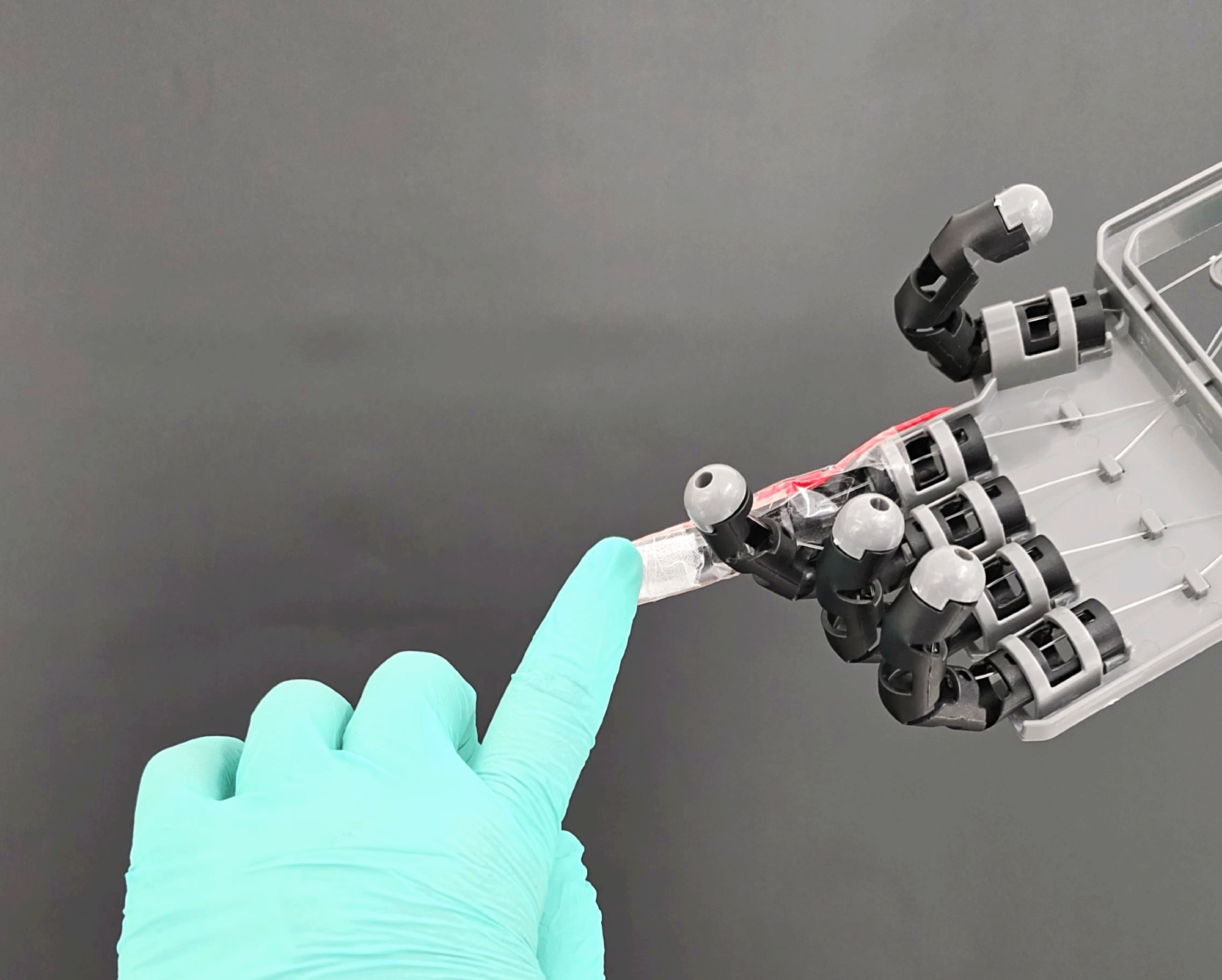 Leaf Skeleton Templates Enable High-Performance Flexible Electronics