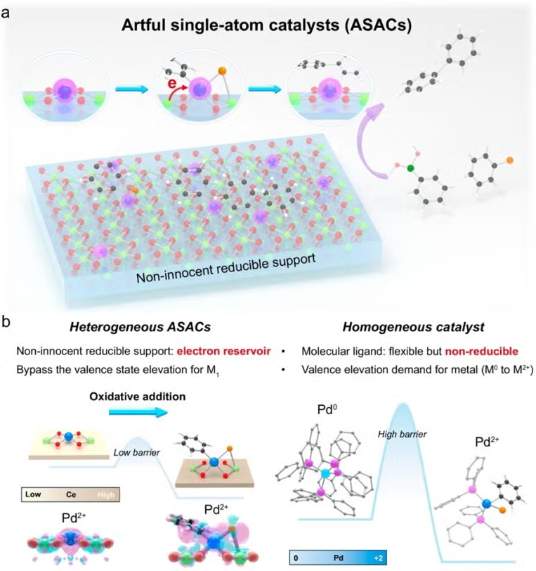 Rational design of ASAC for cross-coupling reactions