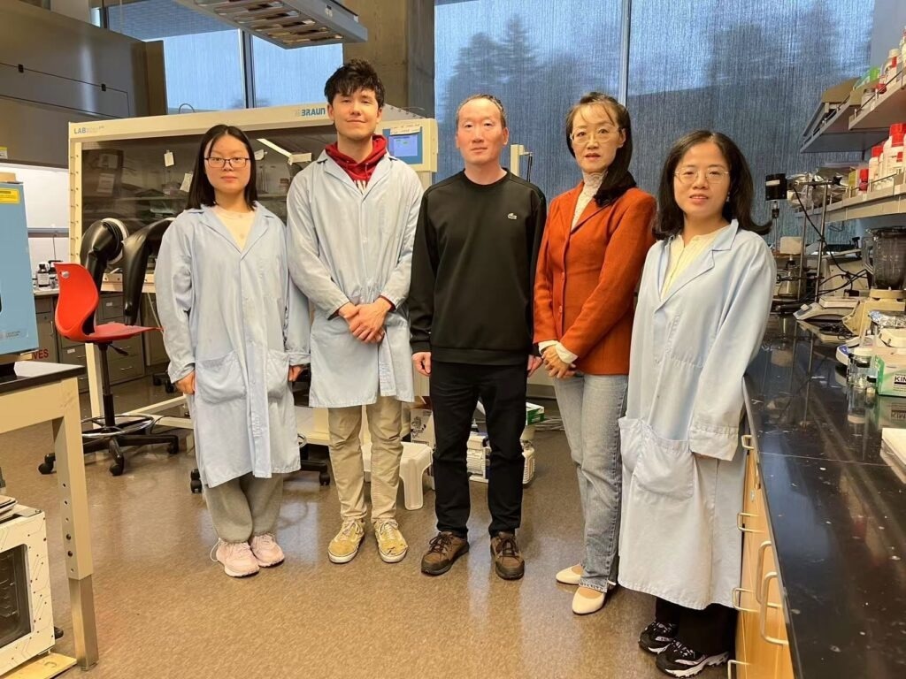 Photo. L-R: Ph.D student Ying Cuo, master’s student Justin Zhong, Professors Jin Liu and Katie Zhong, and postdoctoral researcher Lulu Pen.