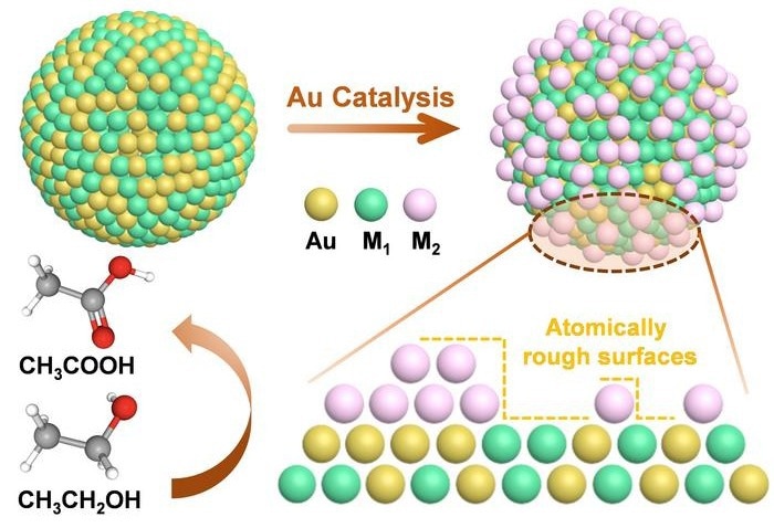 Novel Technique to Improve Electrocatalysis for Direct Alcohol Fuel Cells