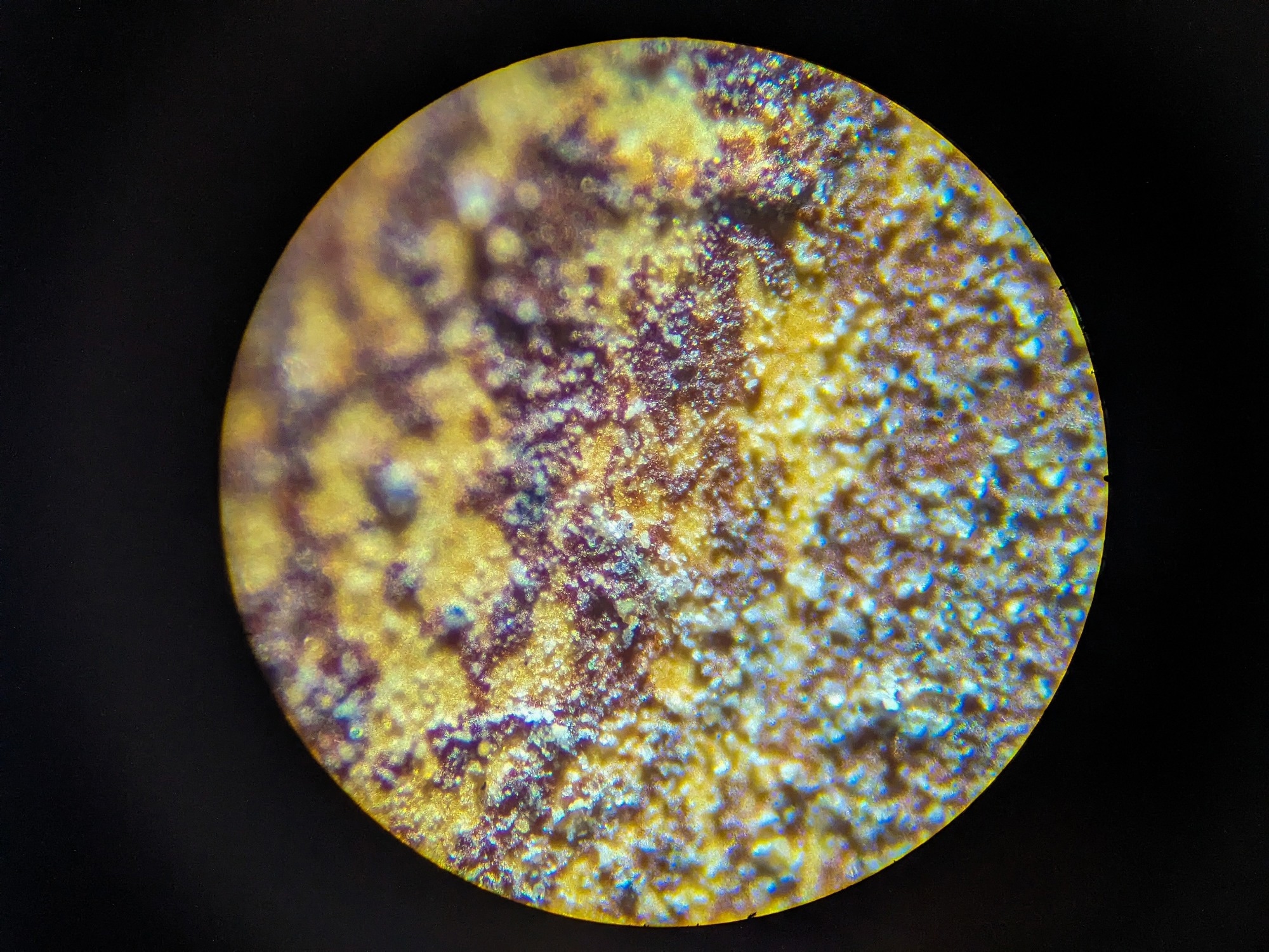 Smart Coating Design: Using Machine Learning to Predict Durability