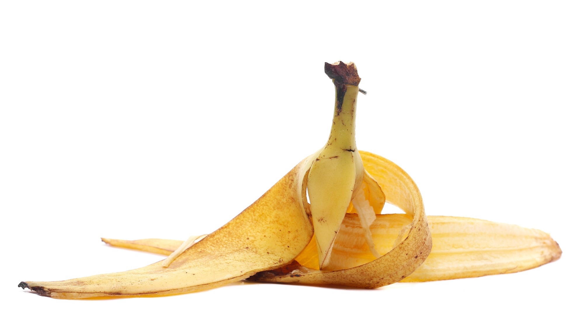 Banana Peels Power New Green Route to High-Performance Lithium-Ion Batteries