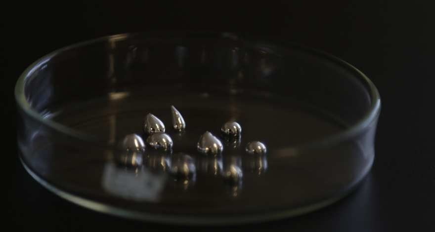 A petri dish containing droplets of liquid gallium metal.
