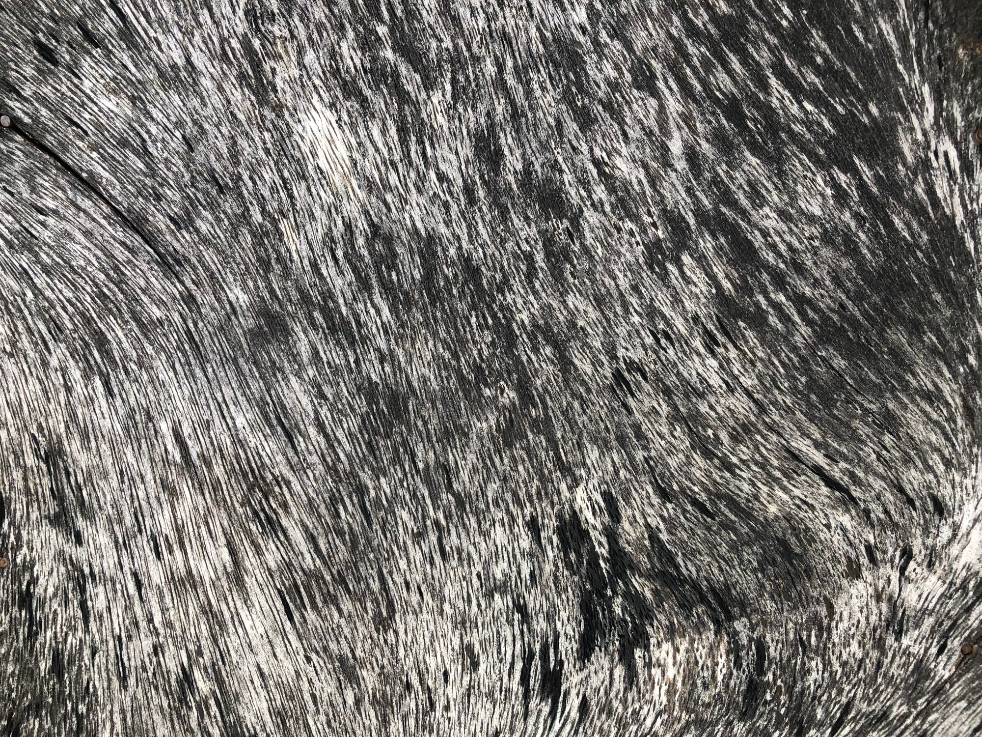 How Industrial Lignin Waste Could Be Used to Clean Contaminated Water