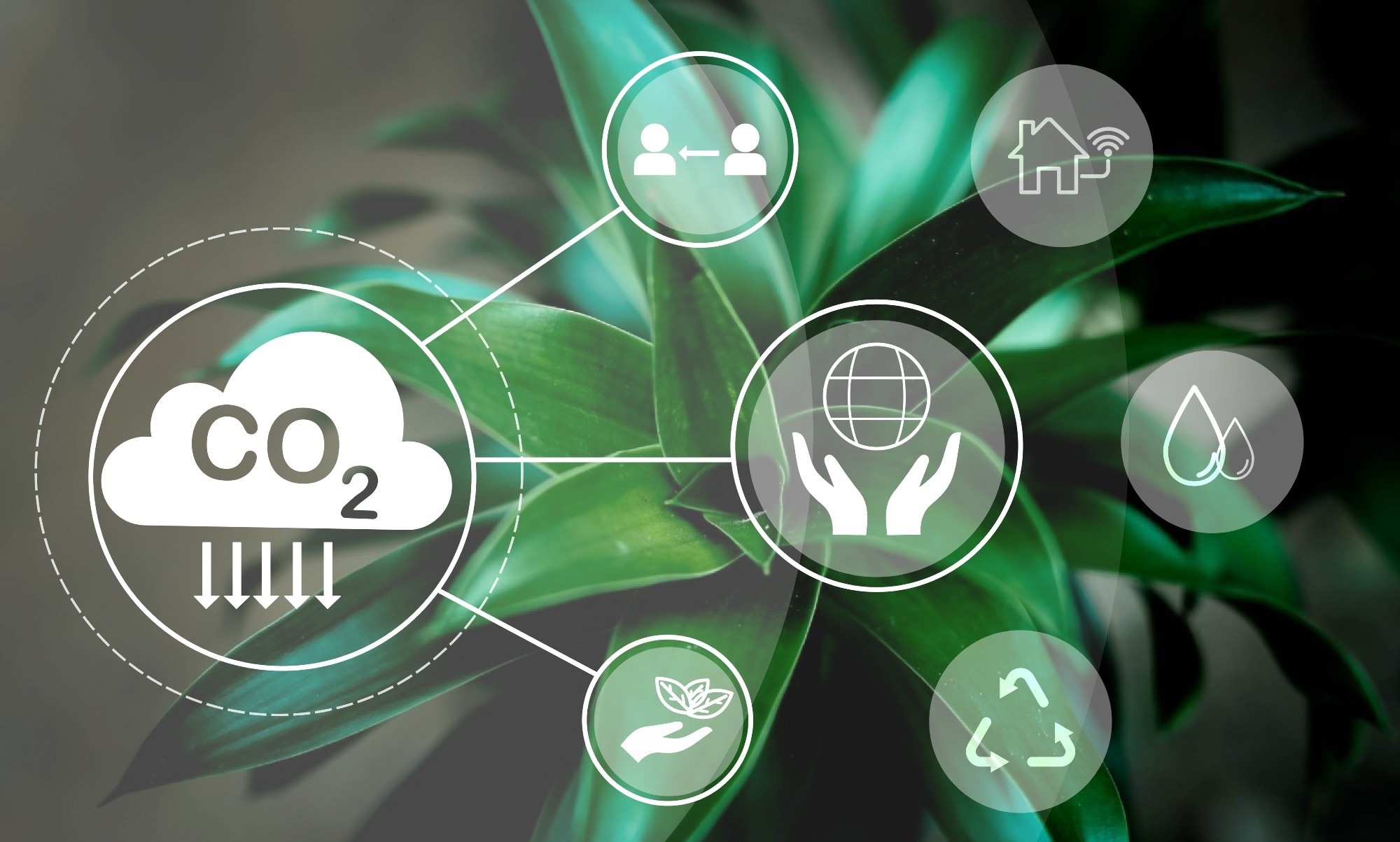 Carbon capture illustration.