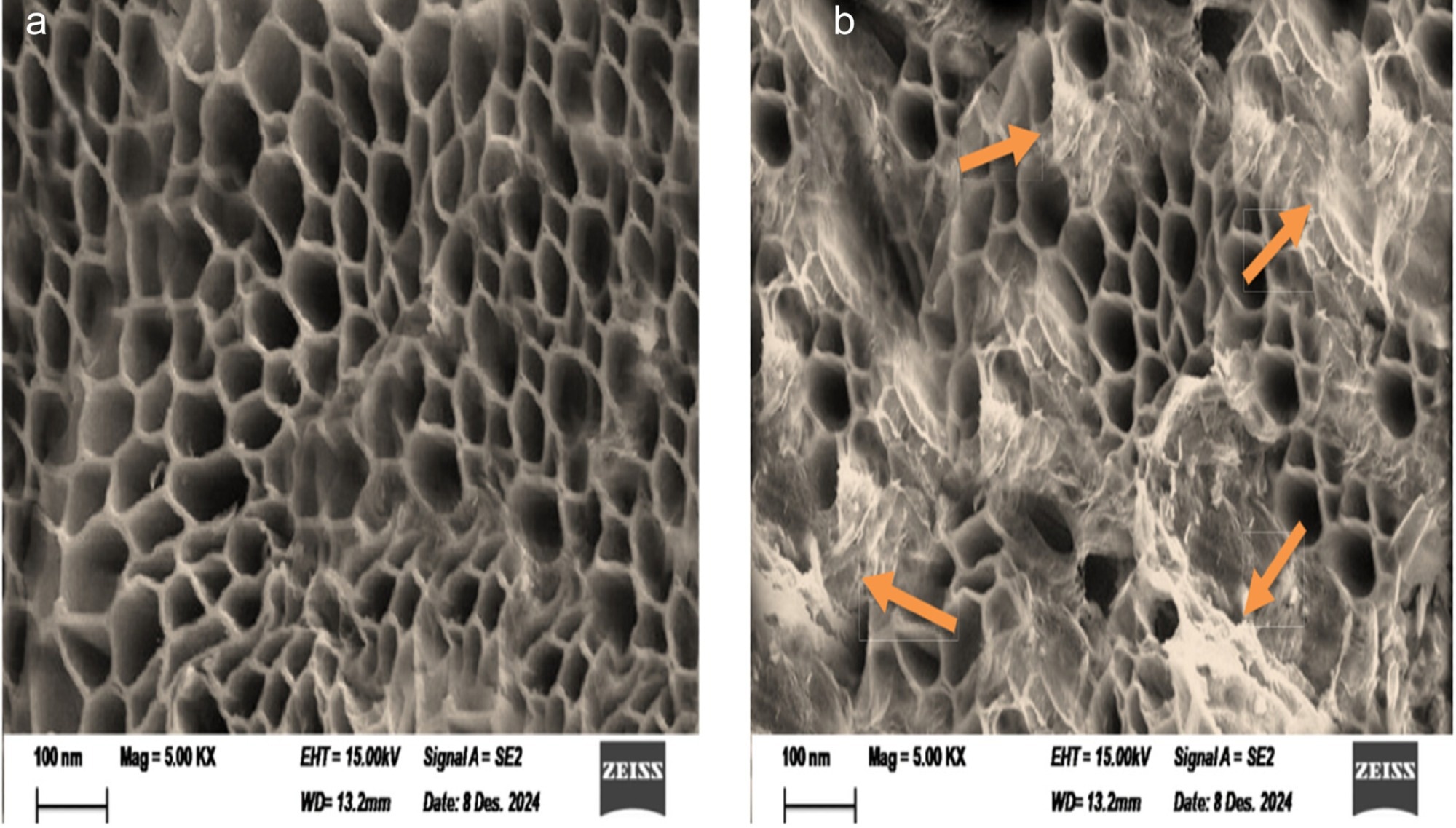 SEM micrographs showing the morphology of the carbonized cabbage core anode (a) prior to cell assembly and (b) following electrochemical testing. Paper: A Review on Carbon-Based and Metal-Based Anode Materials of Microbial Fuel Cells