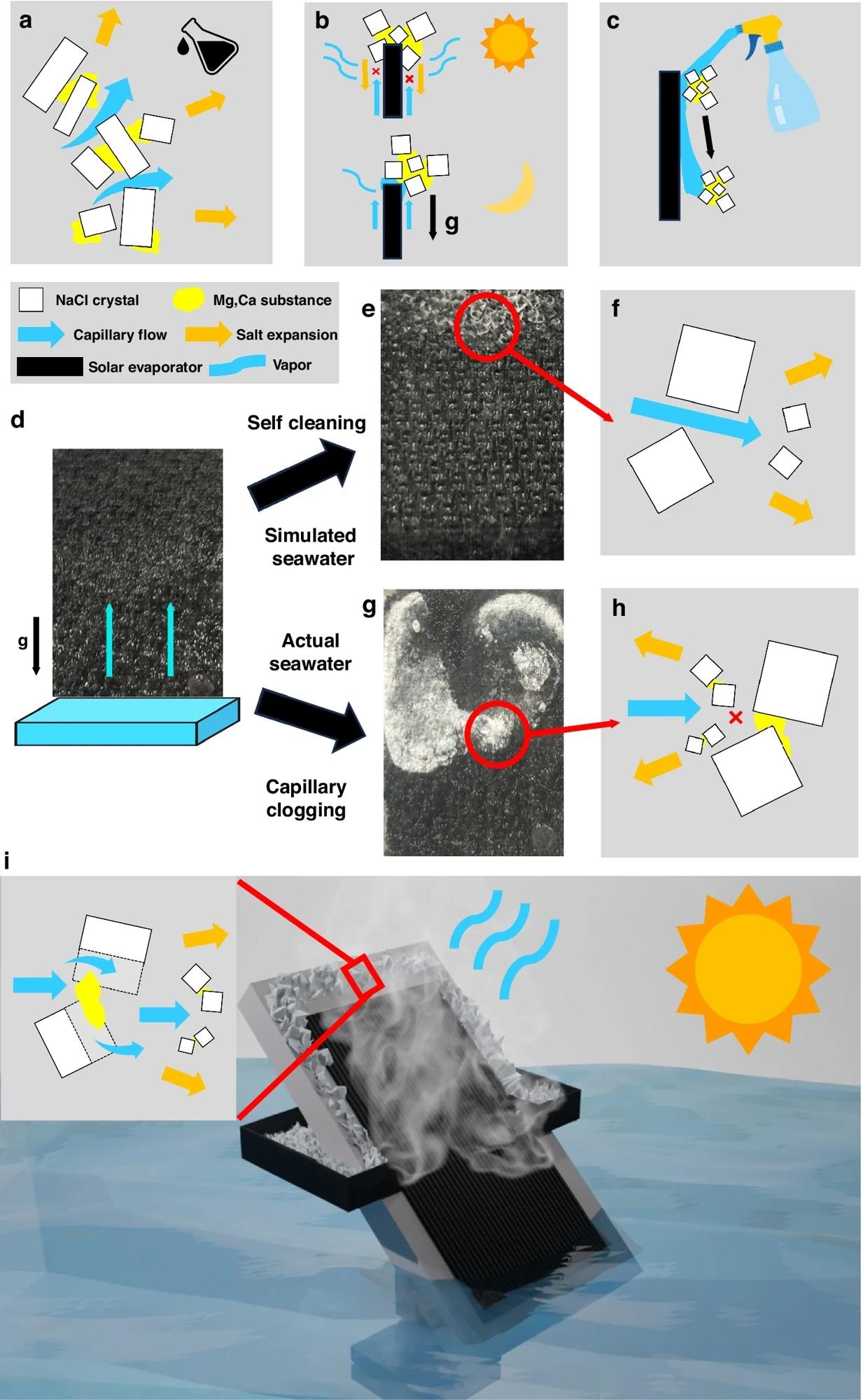 Simulated ocean water only contains NaCl crystals that have many open gaps inside when crystallized, but real ocean water also contains non-porous Mg, Ca substances, which will fill the open pores among NaCl crystals and block the capillary water transport. a Schematics showing chemical additives changing the crystal structures and open some pores. b Schematics showing nighttime salt dissolution and falling. c Schematics showing water spray for cleaning. d Commonly-used conventional wicking material. e Edgewise crystallization when desalinating simulated ocean water. f Schematics showing capillary flow can easily pass through open NaCl crystals for self-cleaning. g Capillary clogging when desalinating real ocean water. h Schematic diagram showing capillary clogging due to insufficient dissolution due to weak capillary flow, i Real ocean water interfacial solar-thermal crystallizer. Inset; a zoomed-in view showing strong capillary flow dissolve salt crystals enabling surface self-cleaning