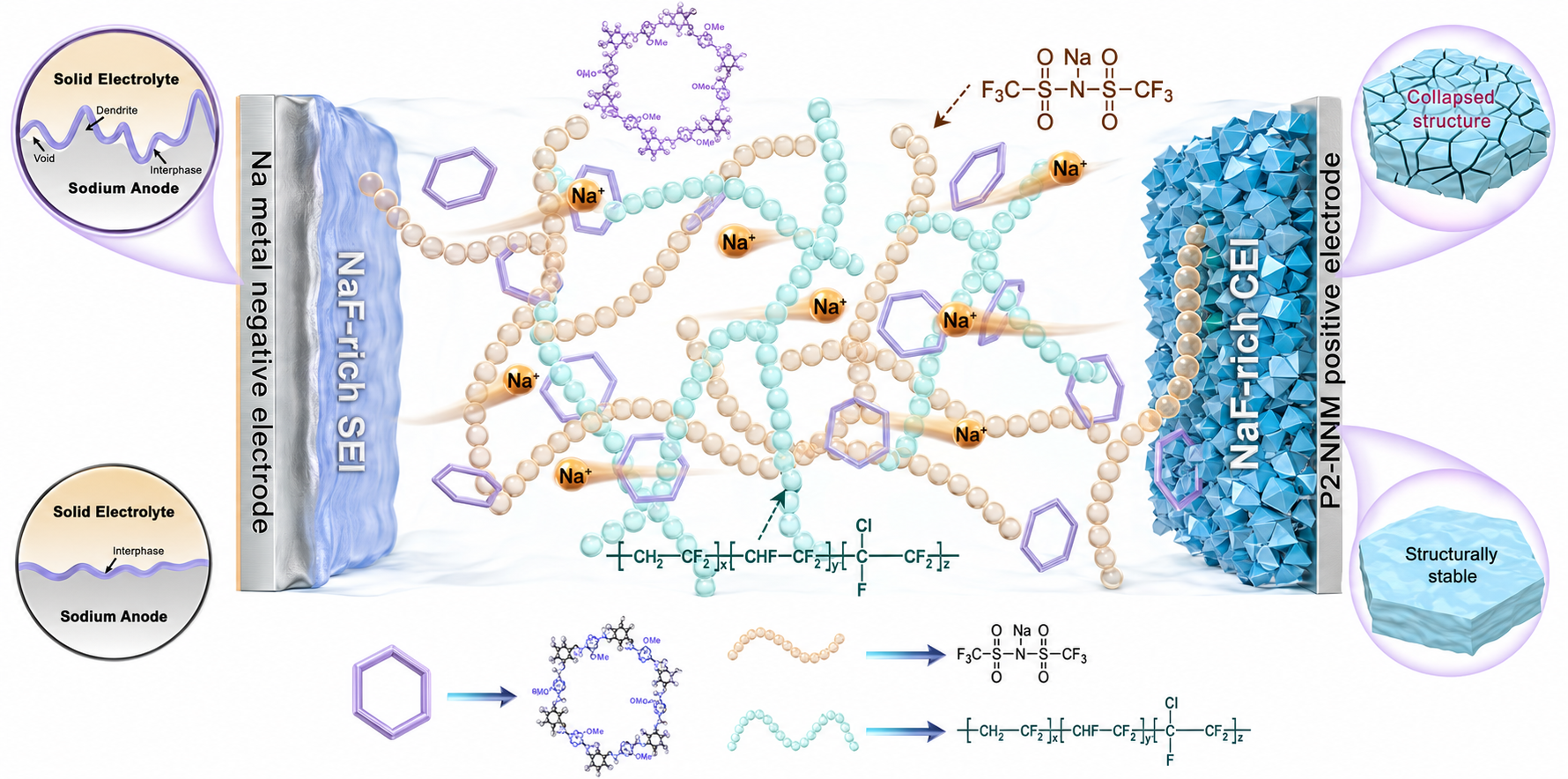 Schematic of TpPa-SO<sub>3</sub>-Na COF-based solid-state sodium batteries and structural characterization of TpPa-SO<sub>3</sub>-Na material. (a) Schematic illustration of the COF/PNSE composite electrolyte film in Na||NNM solid-state batteries. Paper: Engineering ion migration and interface chemistry via covalent organic framework-enhanced polymer electrolytes for fast-charging sodium solid-state batteries