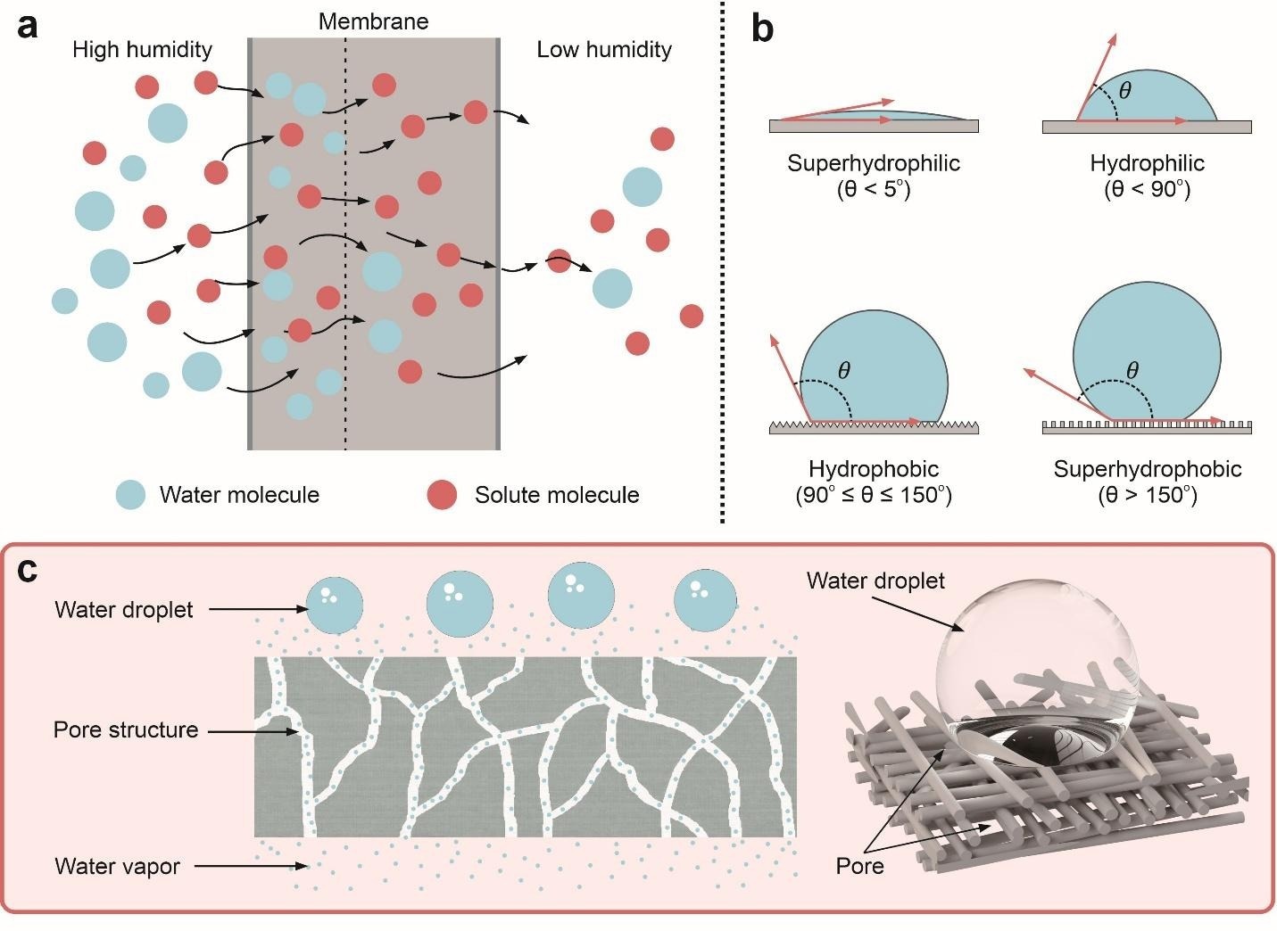 Working principles of waterproof breathable membranes. a Illustration of the solution diffusion of a non-porous hydrophilic membrane. b Hydrophobicity classification according to the water contact angle value. c Illustration of the waterproof and breathable principles of a porous membrane.