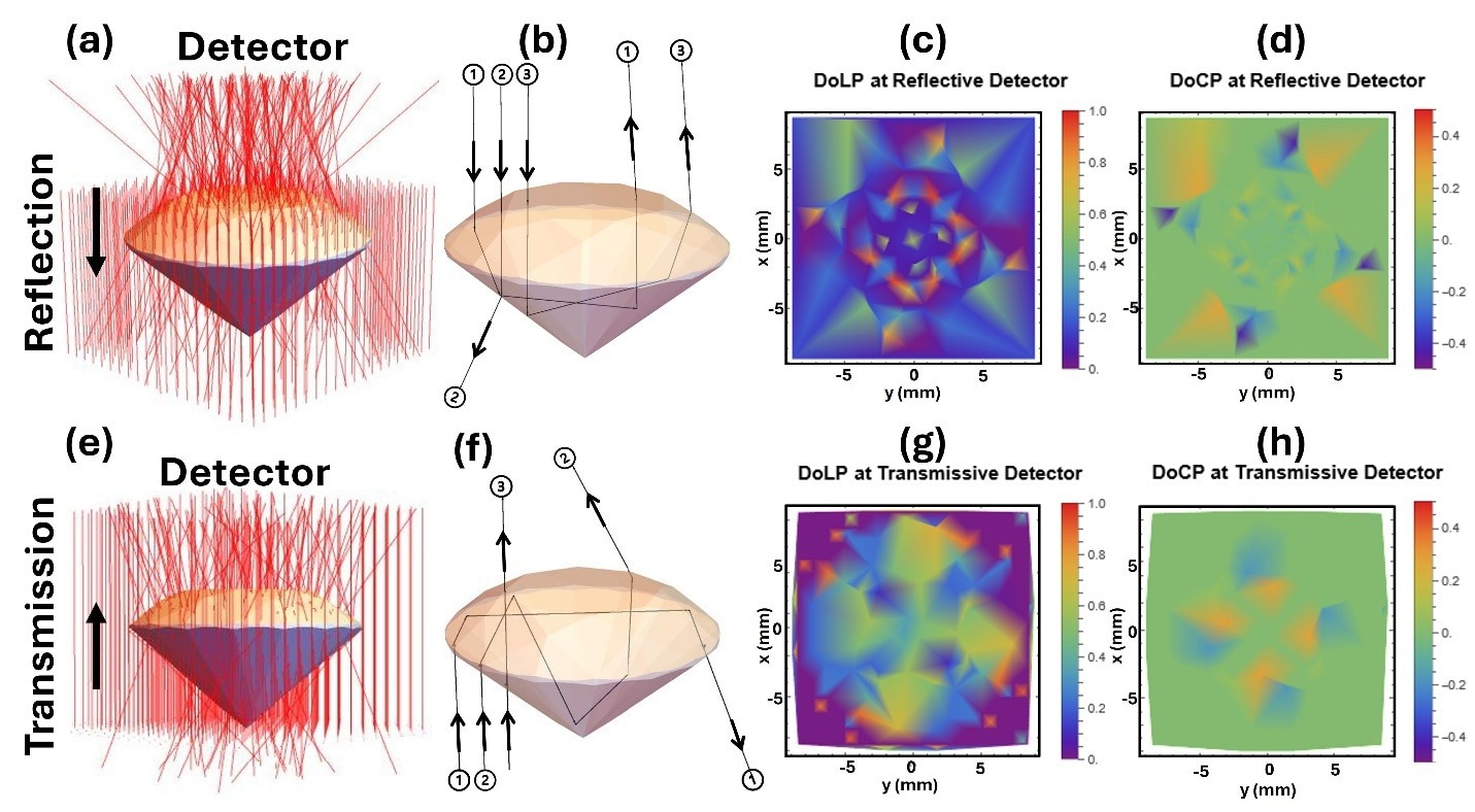Results of polarization ray tracing for a diamond round cut with incident rays aligned along the z-axis. (a) Diagram showing the reflection of collimated rays entering the crown of the diamond. (b) Cross-sectional view illustrating the interaction of three specific rays with diamond facets. (c) The DoLP of reflected rays is shown as a spatial distribution at the reflective detector. (d) The DoCP of reflected rays is shown as a spatial distribution at the reflective detector. (e) Diagram showing the transmission (refraction) of collimated rays through the diamond. (f) Cross-sectional view illustrating the interaction of three specific rays with the diamond facets during transmission. (g) The DoLP of transmitted rays is shown as a spatial distribution at the transmissive detector. (h) The DoCP of transmitted rays is shown as a spatial distribution at the transmissive detector.