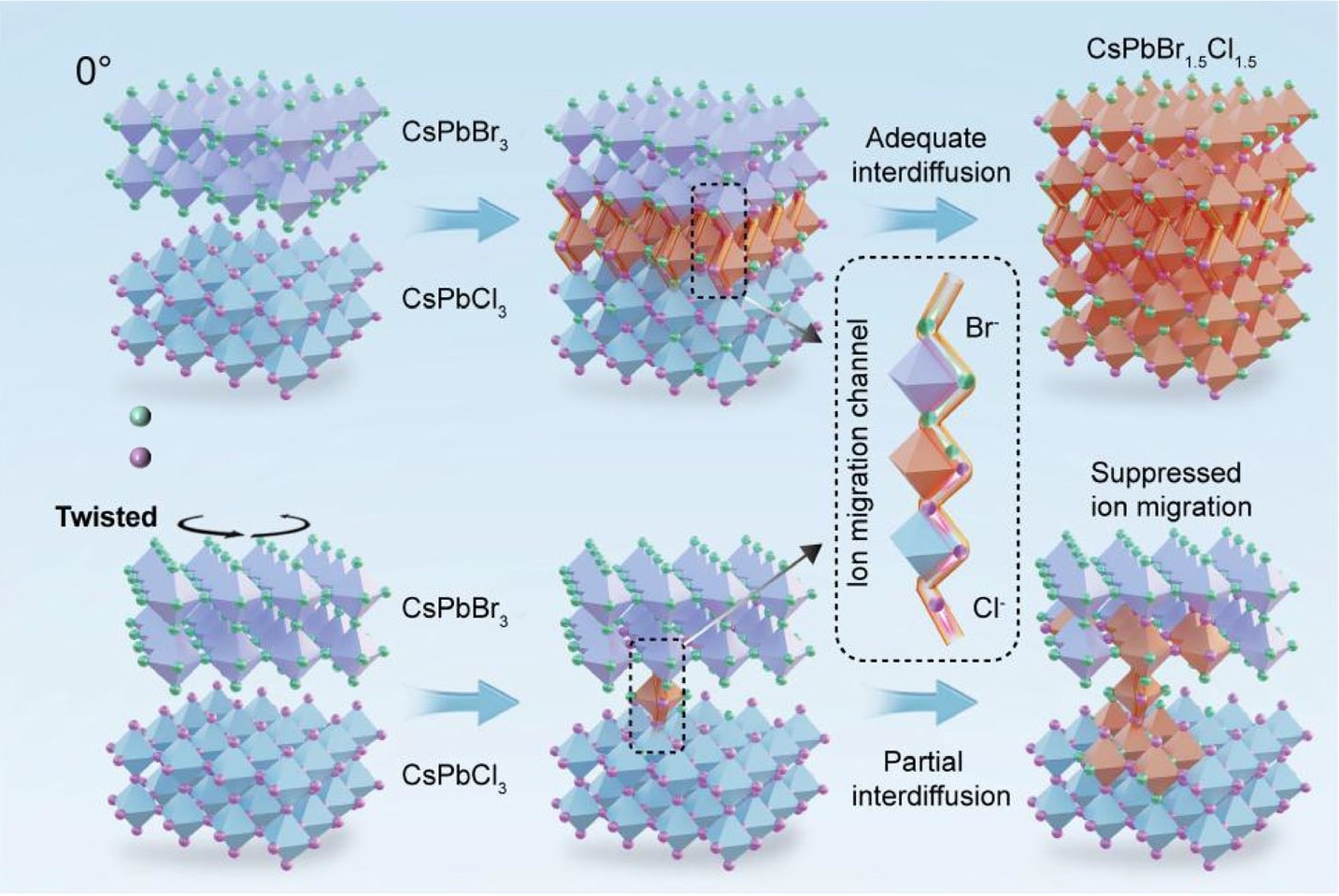 Twistionics to modulate ion migration in halide perovskites. a, b Schematic illustrations of ion migration dynamics in CsPbBr3-CsPbCl3 heterostructure with 0° and 28° twist angles. The enlarged section shows a schematic of the ion migration channel. The purple octahedra represent CsPbBr3, the light-blue octahedra represent CsPbCl3, and the orange octahedra represent the mixed-halide CsPbBr1.5Cl1.5 transition phase formed during interdiffusion. The green and purple atomic spheres represent Br and Cl atoms, respectively.