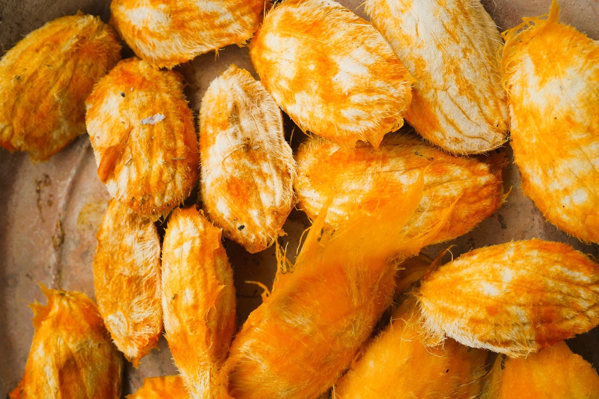 Mango Kernels and Eggshells Create Flexible Biodegradable Films With Packaging Potential