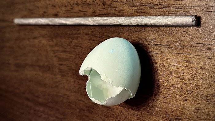 Researchers Make Stronger, Lighter Metals Using Eggshells