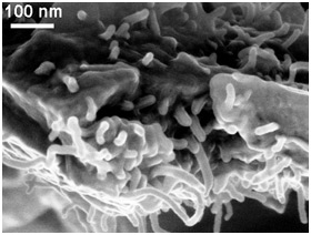 Using Carbon Nanotubes to Detect and Repair Cracks in Polymer Composites