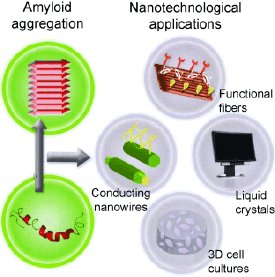 Amyloids Deposits Found to Closely Resemble Synthetic Polymers