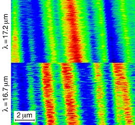 Studying Ferroelectric Materials with a Free Electron Laser
