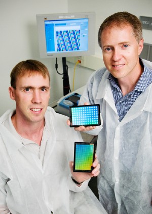 Scientists Develop Disposable Optical Biosensors for Detecting Protein-DNA Interactions