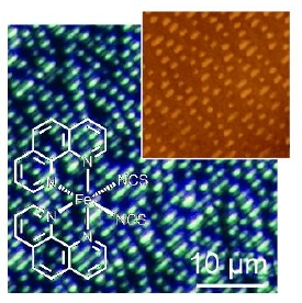 Development of New Generation of Molecular Storage Media using Switchable Nanostripes