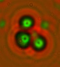 Compelling New Evidence Supports the Possibility of Cold Nuclear Fusion