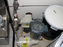 Economical Process Converts Algae into Biofuel