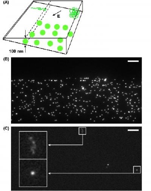 Integrated Circuit Manufacturing Technique Used to Create First Ever Nanofluidic Device with Complex 3D Structure
