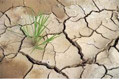 Silicone Rubber Helps Reduce Water Waste Helpuing to Combat Global Warming