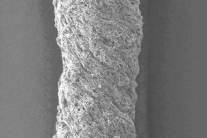 Biodegradable Nanofibre Fabric Could Help Athletes Reciver Quicker from Torn Tendons