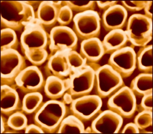By-Product of Titania Nanotubes Found to Improve Solar Cell Performance